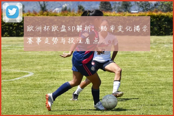 欧洲杯欧盘sp解析:赔率变化揭示赛事走势与投注看点