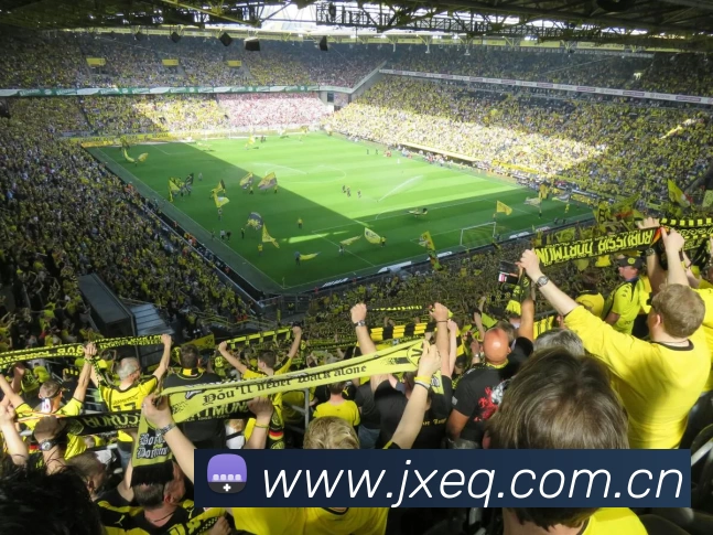 世界杯网APP 封面图